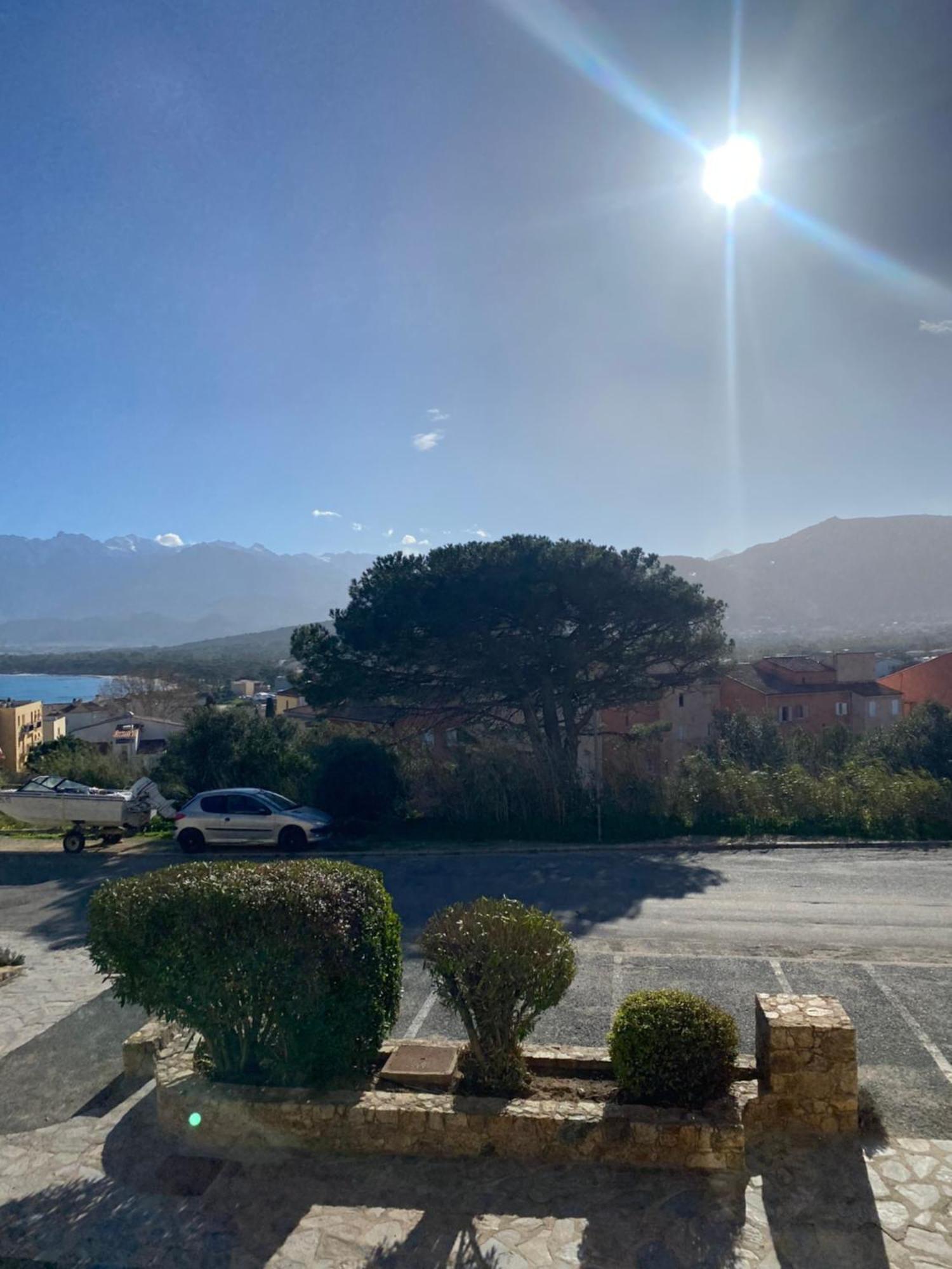 Apartament Coeur De Calvi Calvi  Zewnętrze zdjęcie